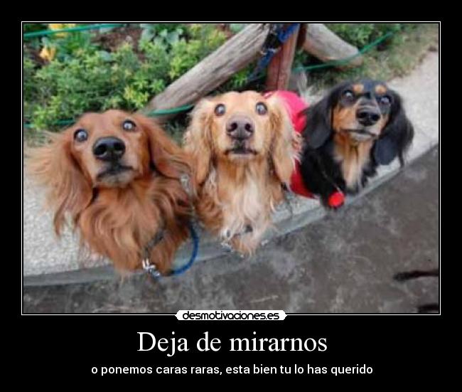 carteles desmotivaciones