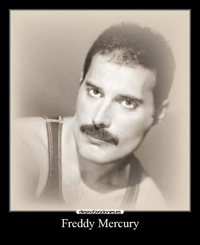 Freddy Mercury -