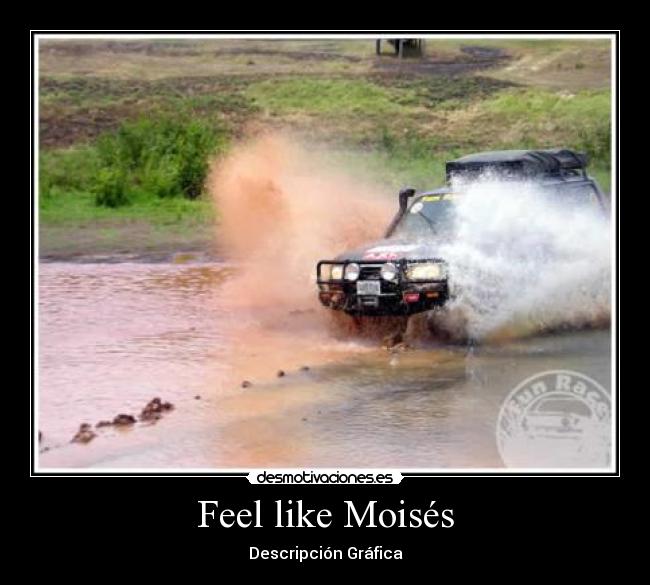 Feel like Moisés - 