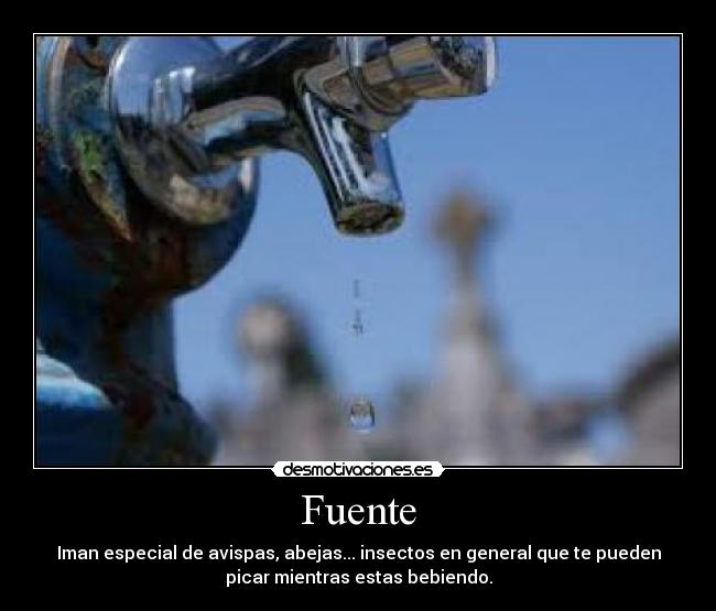 Fuente - Iman especial de avispas, abejas... insectos en general que te pueden
picar mientras estas bebiendo.