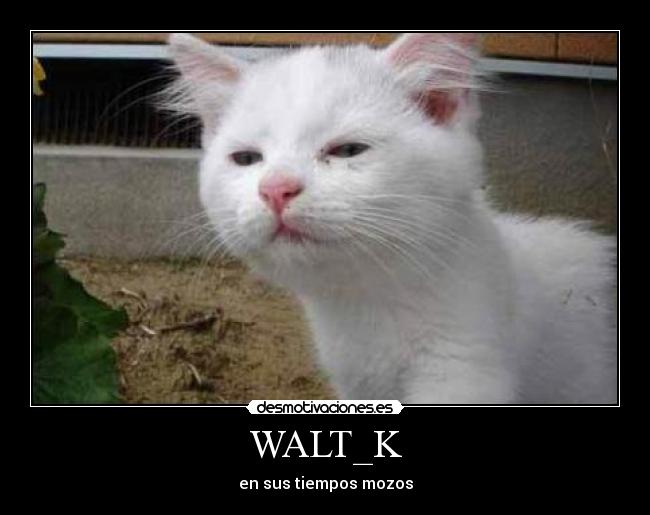 WALT_K - en sus tiempos mozos