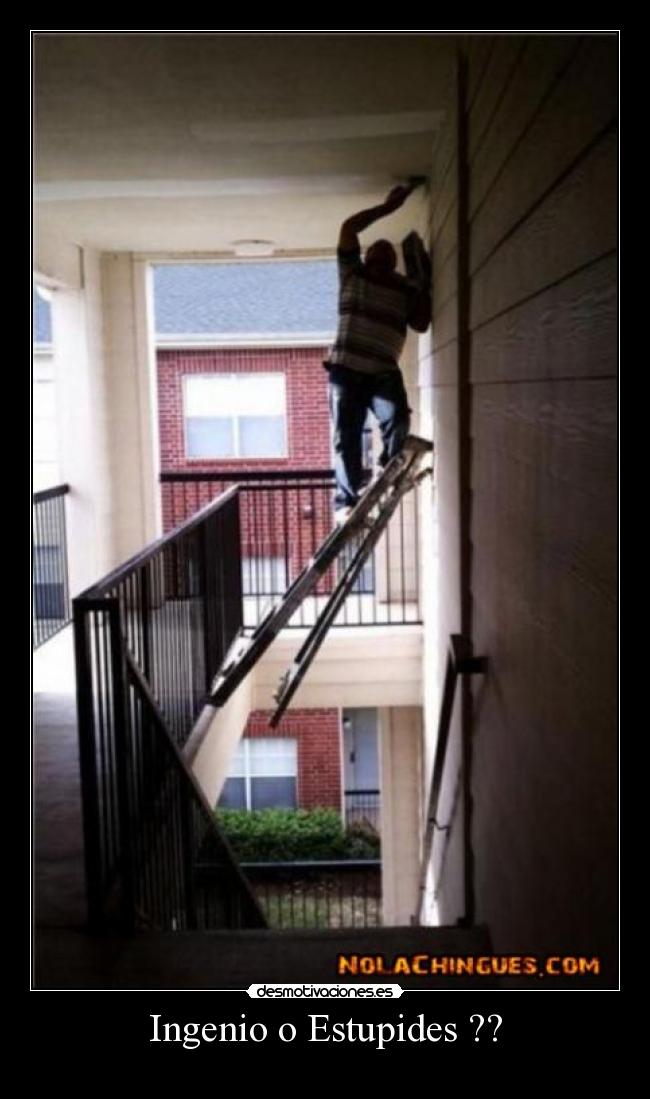 Ingenio o Estupides ?? -