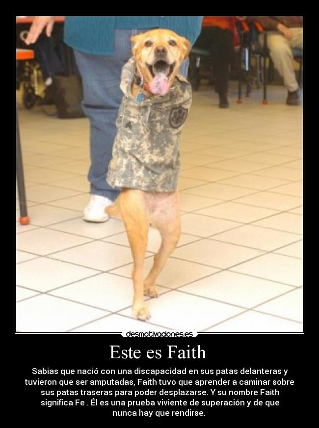 Este es Faith -