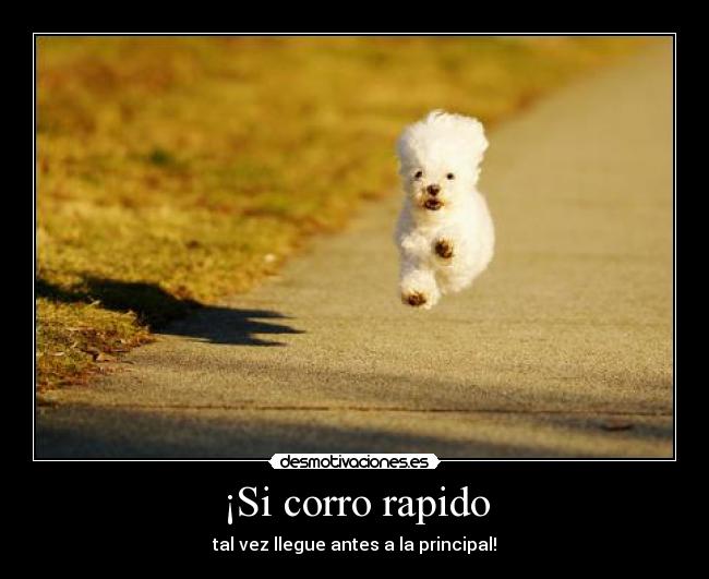 ¡Si corro rapido - tal vez llegue antes a la principal!