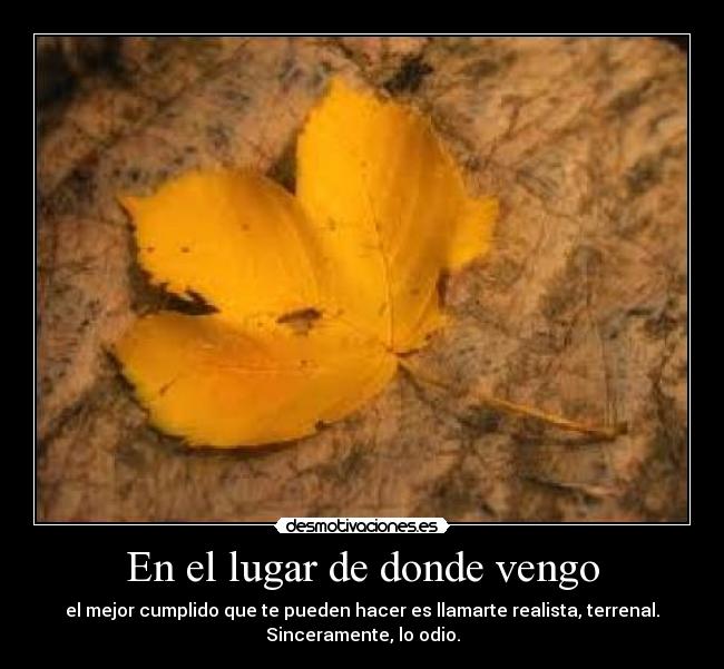 En el lugar de donde vengo - el mejor cumplido que te pueden hacer es llamarte realista, terrenal.
Sinceramente, lo odio.