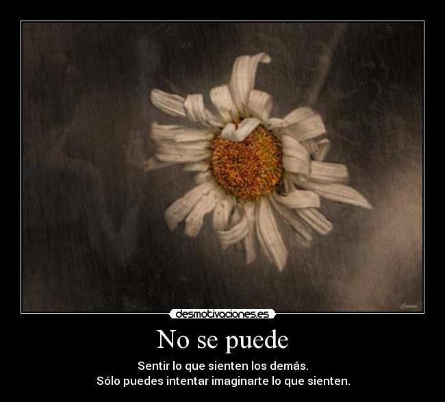 carteles sentimientos desmotivaciones