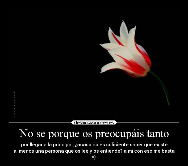 No se porque os preocupáis tanto -