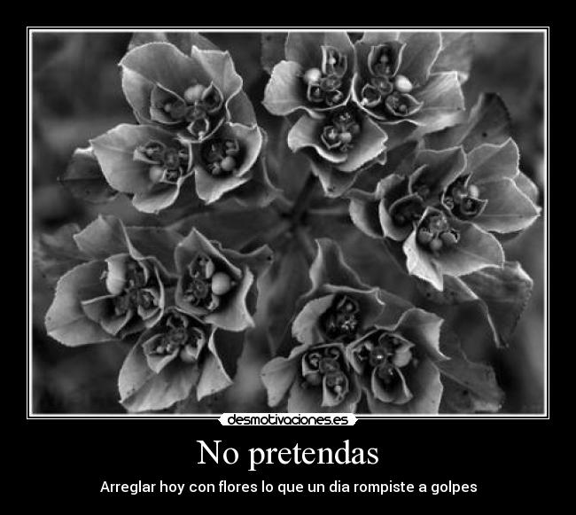 No pretendas - Arreglar hoy con flores lo que un dia rompiste a golpes