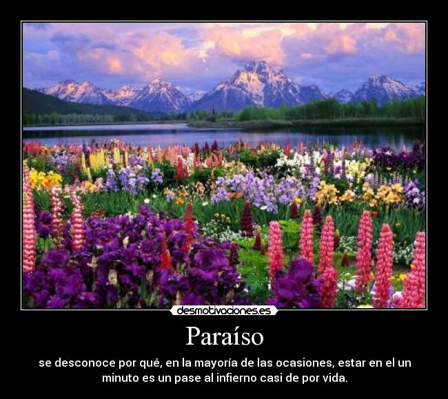Paraíso - 
