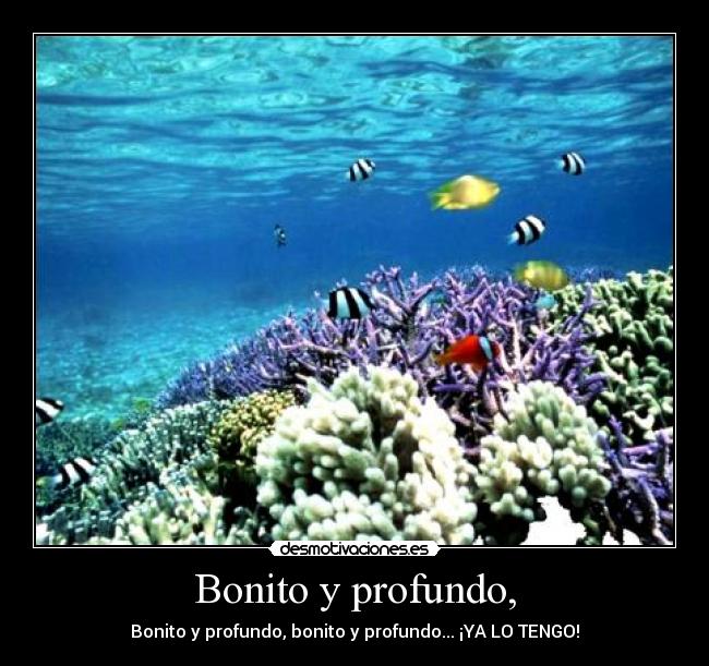 carteles bonito pro desmotivaciones