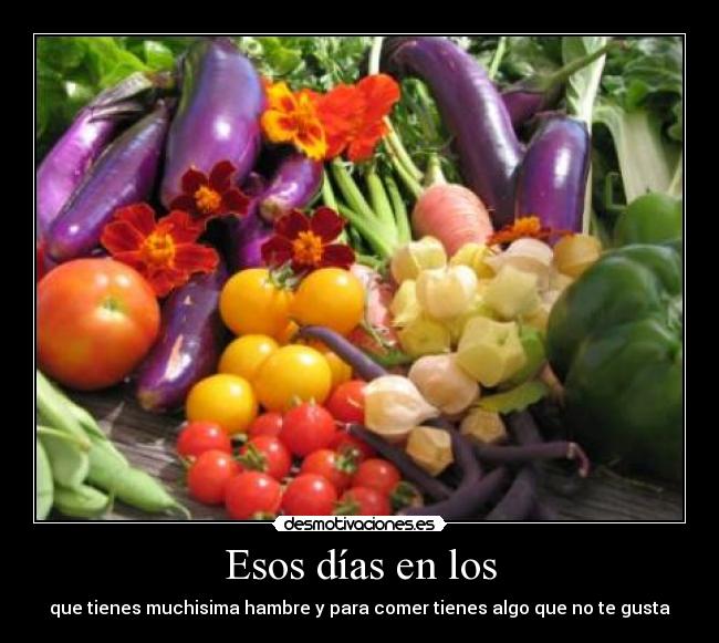 carteles comida comer desmotivaciones