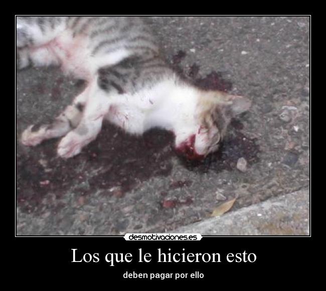 Los que le hicieron esto - deben pagar por ello