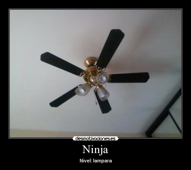 Ninja - 