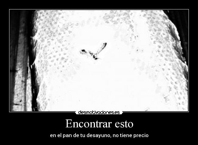 Encontrar esto - en el pan de tu desayuno, no tiene precio