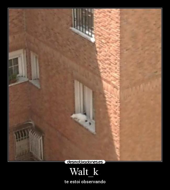 Walt_k  - te estoi observando