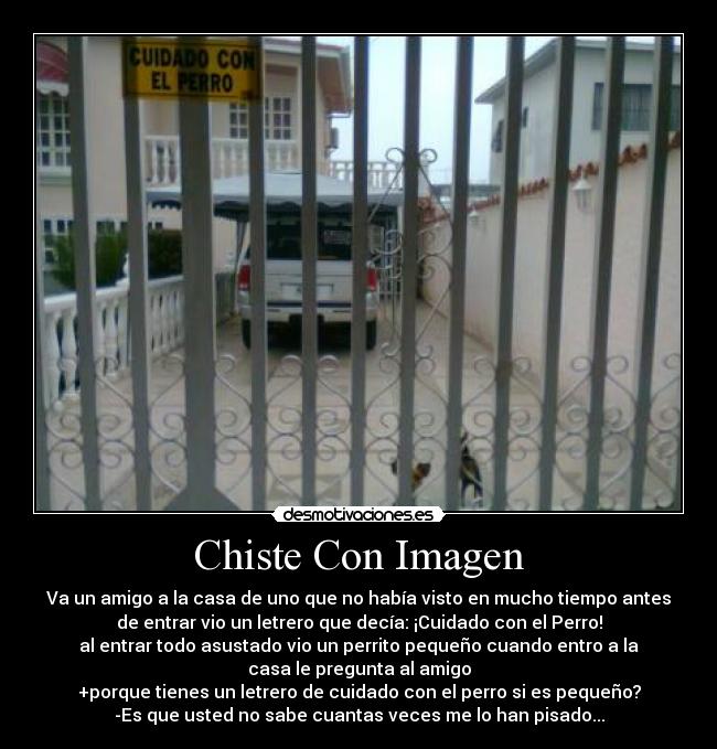 Chiste Con Imagen - Va un amigo a la casa de uno que no había visto en mucho tiempo antes
de entrar vio un letrero que decía: ¡Cuidado con el Perro!
al entrar todo asustado vio un perrito pequeño cuando entro a la
casa le pregunta al amigo
+porque tienes un letrero de cuidado con el perro si es pequeño?
-Es que usted no sabe cuantas veces me lo han pisado...