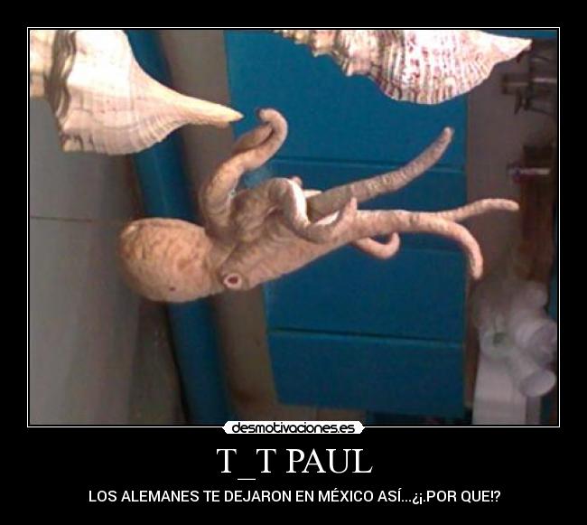 T_T PAUL - 