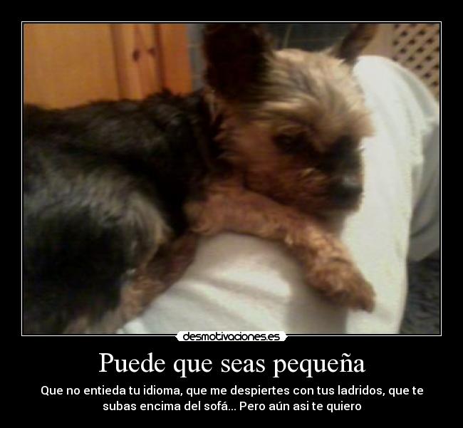 Puede que seas pequeña - 