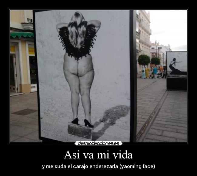 Asi va mi vida - y me suda el carajo enderezarla (yaoming face)