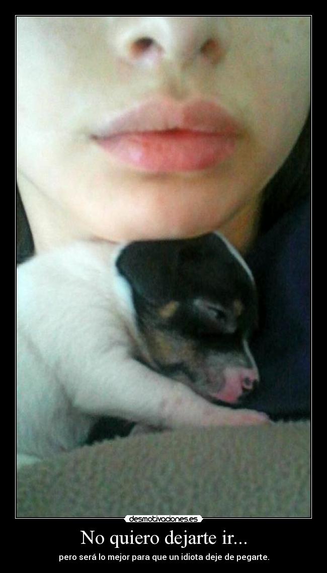 No quiero dejarte ir... - pero será lo mejor para que un idiota deje de pegarte.