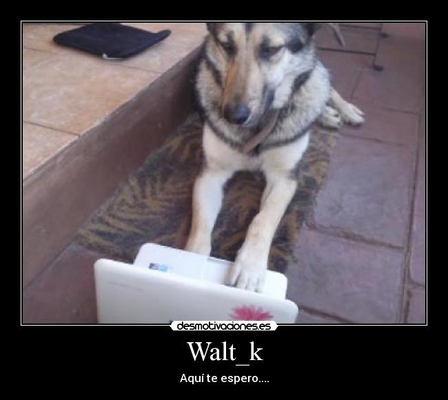 Walt_k -