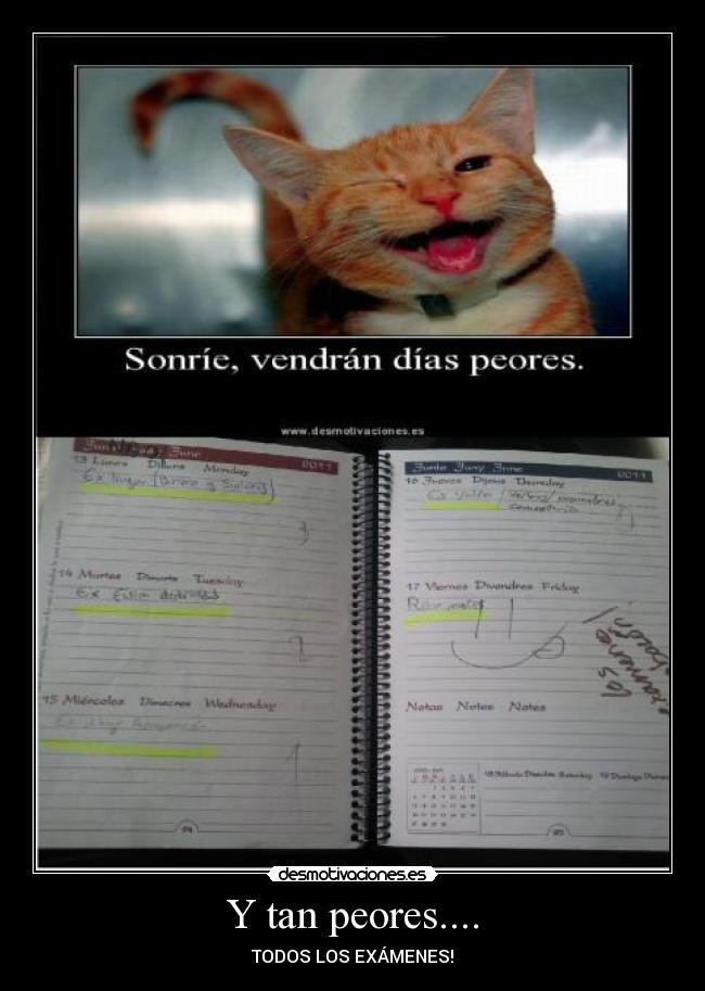 carteles examenes desmotivaciones