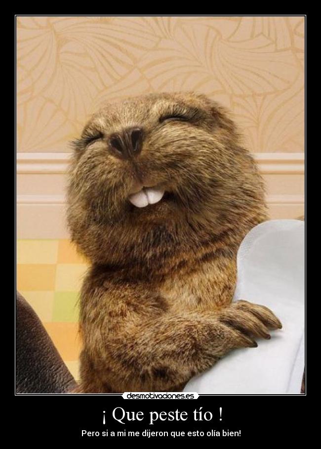 ¡ Que peste tío ! - 