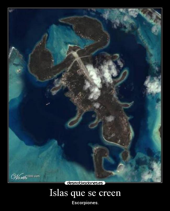 carteles jamon desmotivaciones