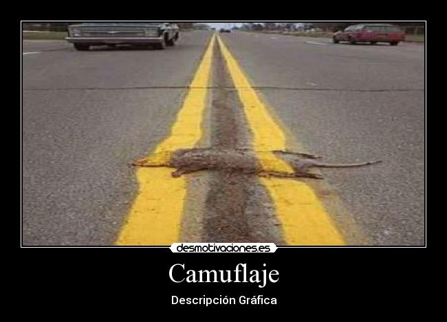 Camuflaje -
