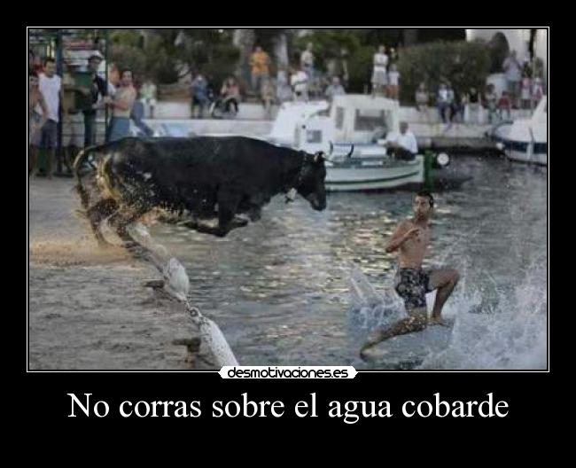 No corras sobre el agua cobarde -