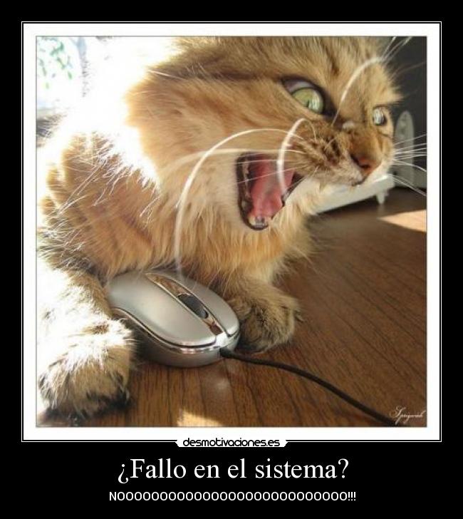 ¿Fallo en el sistema? - NOOOOOOOOOOOOOOOOOOOOOOOOOOO!!!