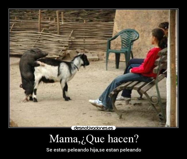 Mama,¿Que hacen? - Se estan peleando hija,se estan peleando