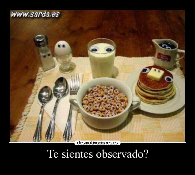 Te sientes observado? - 