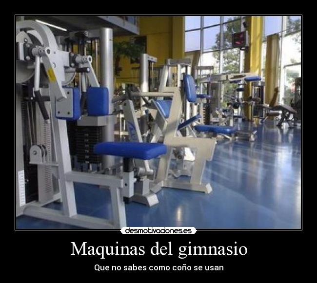 Maquinas del gimnasio - Que no sabes como coño se usan