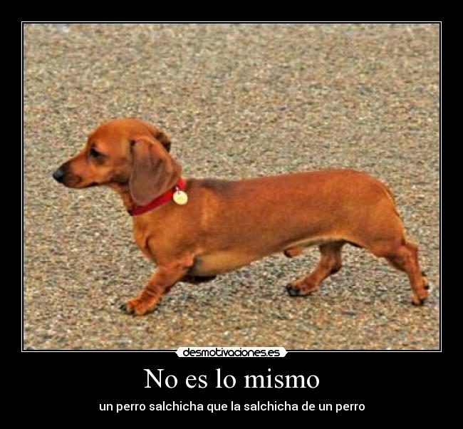 No es lo mismo - un perro salchicha que la salchicha de un perro