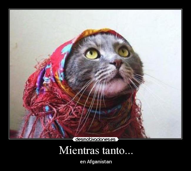 Mientras tanto... - en Afganistan
