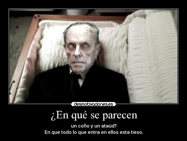 ¿En qué se parecen - 