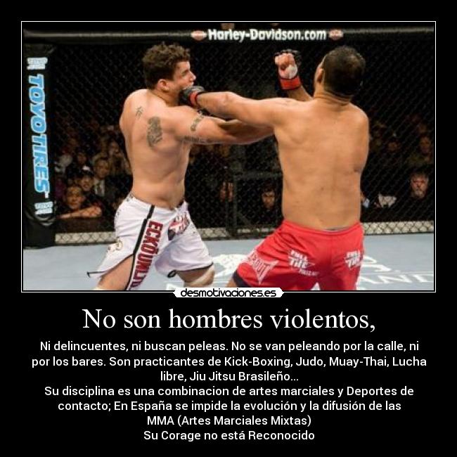 No son hombres violentos, - Ni delincuentes, ni buscan peleas. No se van peleando por la calle, ni
por los bares. Son practicantes de Kick-Boxing, Judo, Muay-Thai, Lucha
libre, Jiu Jitsu Brasileño...
Su disciplina es una combinacion de artes marciales y Deportes de
contacto; En España se impide la evolución y la difusión de las
MMA (Artes Marciales Mixtas)
Su Corage no está Reconocido