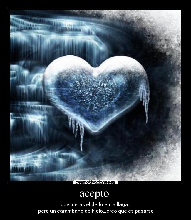 acepto  - 