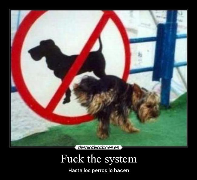 Fuck the system - Hasta los perros lo hacen