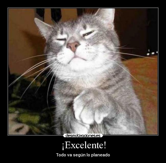 ¡Excelente! - 