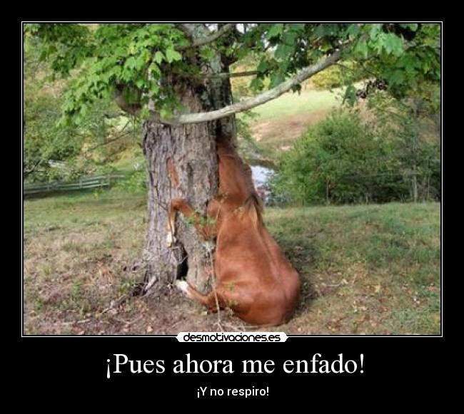 ¡Pues ahora me enfado! -