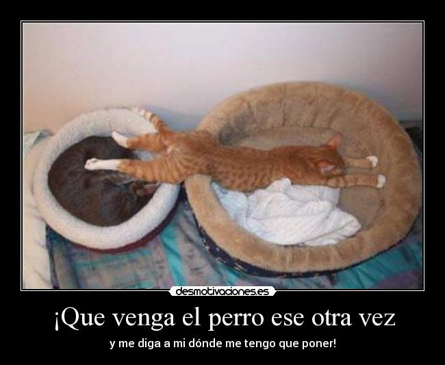 ¡Que venga el perro ese otra vez - 