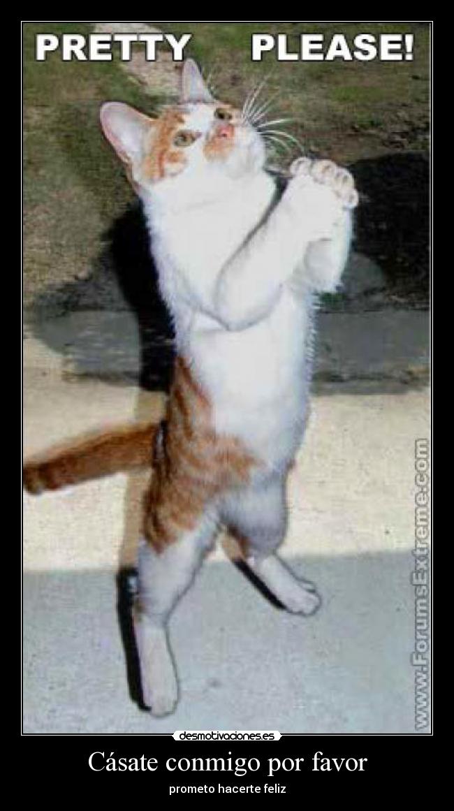 Cásate conmigo por favor -