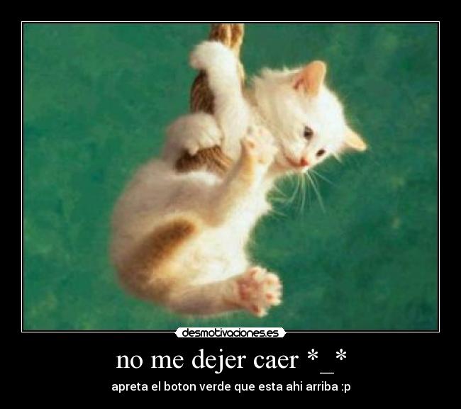 no me dejer caer *_* -