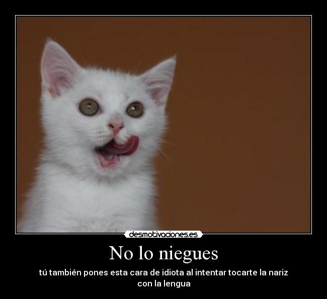 No lo niegues -