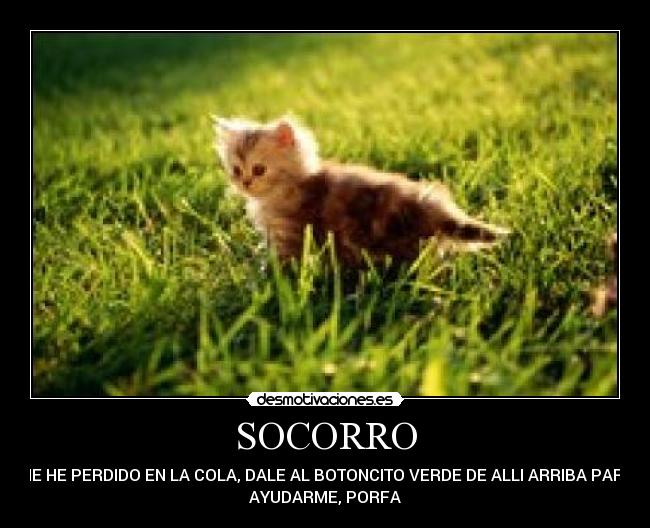 carteles  desmotivaciones