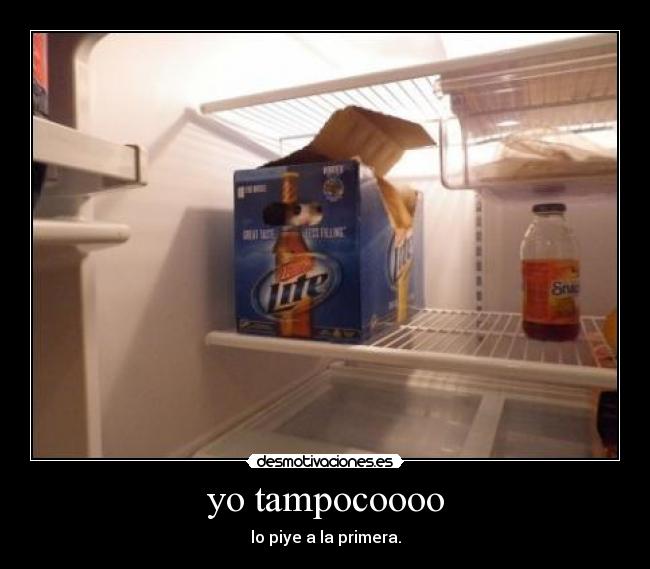 yo tampocoooo - 