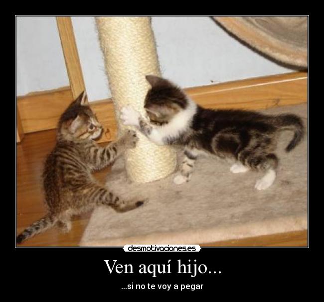 Ven aquí hijo... - ...si no te voy a pegar