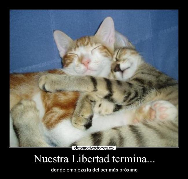 Nuestra Libertad termina... - donde empieza la del ser más próximo